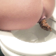 An Italian girl takes a soft shit while sitting on a toilet. Poop action can be clearly seen from a rear angle. She wipes her ass and shows us her dirty TP. Presented in 720P HD. 104MB, MP4 file. About 7 minutes.